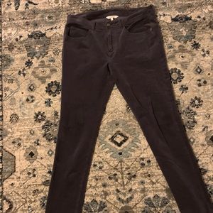 Sundance Velvety Cord Pants 10